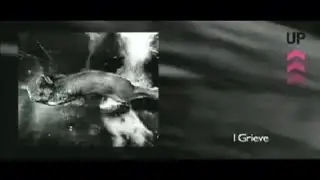 Peter Gabriel - I Grieve (Video)