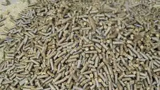 High efficiency wood sawdust pellet machine,wood pellet making machine
