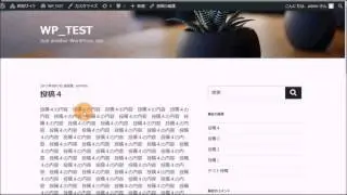 WordPressの関数（the_excerpt()）より投稿の抜粋表示および抜粋／ティーザー（Teaser）の概念