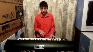 Виктор Королев - Вишня в саду Style Korg HD