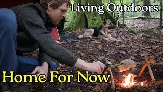 A temporary home in isolated woodland