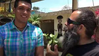 Museo Comunidad 