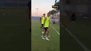 На тренировке «Тоттенхэма» замечены два голубя 👀