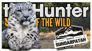 the Hunter Call of the Wild✅ПОВНОЦІННИЙ ТРЕЙЛЕР НОВОГО ЗАПОВІДНИКА🗺️ТИГР ТА ІРБІС🐯SUNDARPATAN⛰️