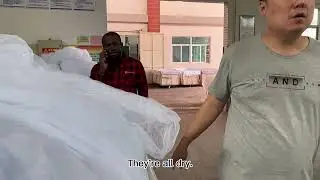 dyed factory visit