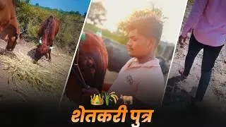 शेतकरी पुत्र || My First Vlog || गोदावरी नदीला बैलं धुताना 👑🌾🐂