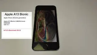 Apple A13 Bionic | AnTuTu Benchmark 9.0.6