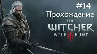Ведьмак 3 Дикая Охота - Прохождение - #14 - DLC Каменные сердца - ФИНАЛ
