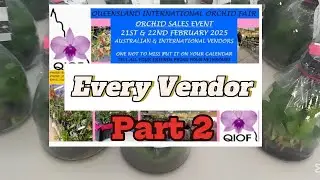 Queensland International Orchid Festival: QIOF  part 2