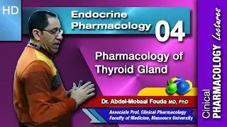 Endocrine Pharmacology (Ar) - 04 - Thyroid gland