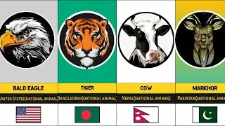 National Animal in the World