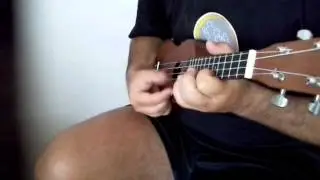 Prayer in C Lilly Wood & The Prick and Robin Schulz (ukulele cover) guitar