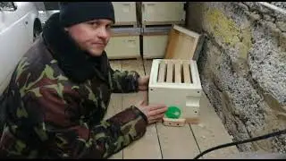 Мой вариант нуклеуса