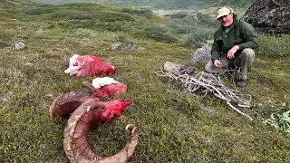 Monster Dall Sheep Hunt from Alaska's Chugach Mountains