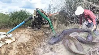 Unique fishing,Catch Many Of Fish In The Lake Use tractor bump