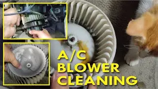 Cleaning the A/C Blower