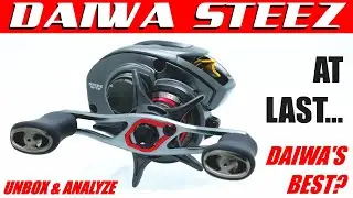 STEEZ AT LAST... STEEZ AT LAST...  IS THIS DAIWA'S BEST?