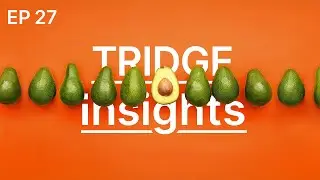 Tridge Insights | A breakthrough for South African avocados