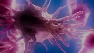 Psilocybin helps dementia