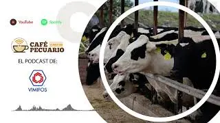 Café Pecuario | Nueva temporada