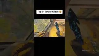 Estates Glitch || Mw3