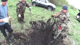 Летний загон! Железо разбросано везде! Копаем металлолом на не копаном месте..