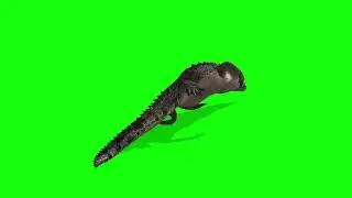 Green Screen Crocodile - Free