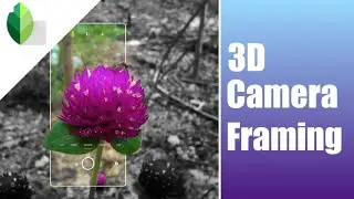 3D Camera Framing Snapseed Double Exposure (easy)