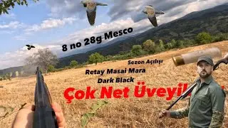ÜVEYİK AVI 2024-2025  / DOVE HUNTER / DOVE HUNT /ÇOK NET GÖTÜNTÜLER / #keşfet #nature #birds