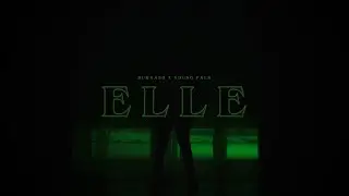 Bukaash feat. Big Palk - Elle
