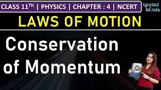 Class 11th Physics | Conservation of Momentum | Chapter 4: Laws of Motion | NCERT