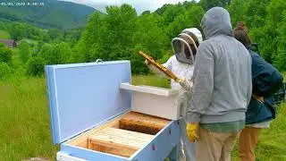 First time -Horizontal beekeepers