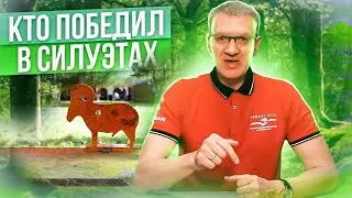 Как определить победителя в Силуэтной стрельбе