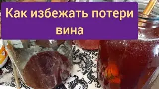 Не спешите выливать осадок от вина.
