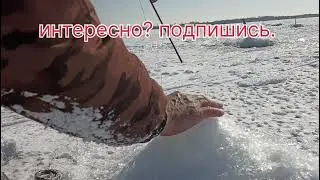 Подледник для ловли Леща
