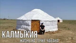 Жизнь на точке чабана. Путешествие с караваном Niewiadow n132 часть Десятая.