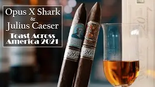 The Best High End Cigars? - Arturo Fuente Opus X & Julius Caeser Shark Uboxing