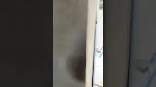 Конюшня продолжение строки