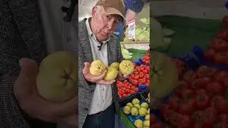 +992900004489. ниҳоли ноки дивижи. +992900004489