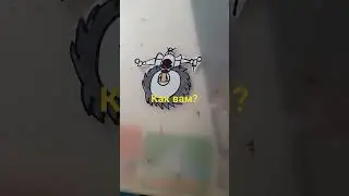 как вам скибиди пила