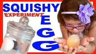 Squishy EGG EXPERIMENT Яйцо БЕЗ СКОРЛУПЫ Эксперимент | ANNA MARIA