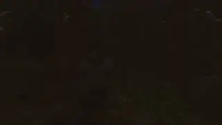 please move, no? okay