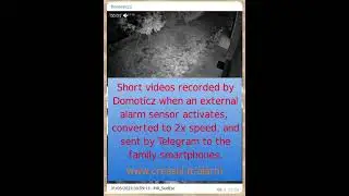 Cats recorded by the home-made alarm system using Domoticz