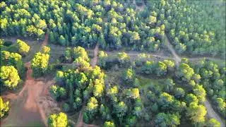 Drone Flight over Túria Forest Park - Valencia, Spain ❂