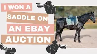 😲 From England to the US...I won a saddle on an Ebay Auction, and this is my experience...