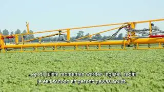 De Totaal Phytophthora Aanpak van Agrifirm