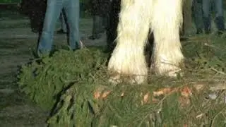 KRAMPUS LIED
