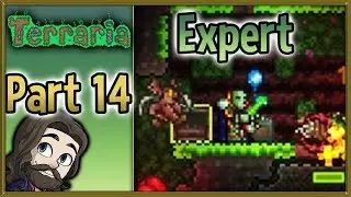 Terraria Expert Mode 1.3.5 Gameplay - Part 14 - Let's Play Walkthrough
