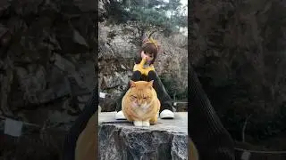 Dancing with a cheese cat🧀 치즈냥이랑 같이 댄스😽 #lechat #tiktok #dance #shorts
