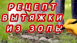 Рецепт вытяжки из золы